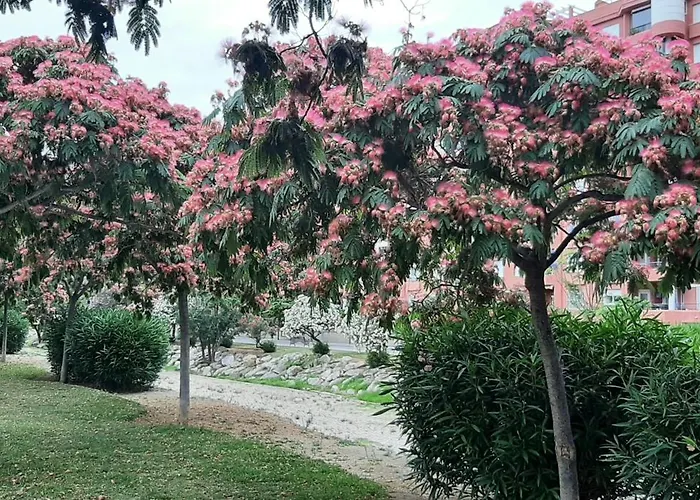 Salinas Boliches Apartamento *