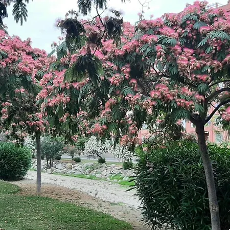 Salinas Boliches Appartement *