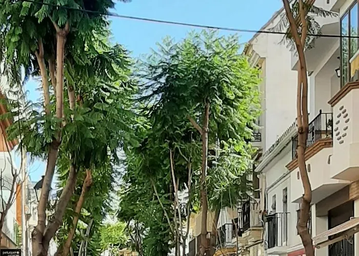 Salinas Boliches פואנגירולה