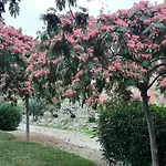 Salinas Boliches شقة *